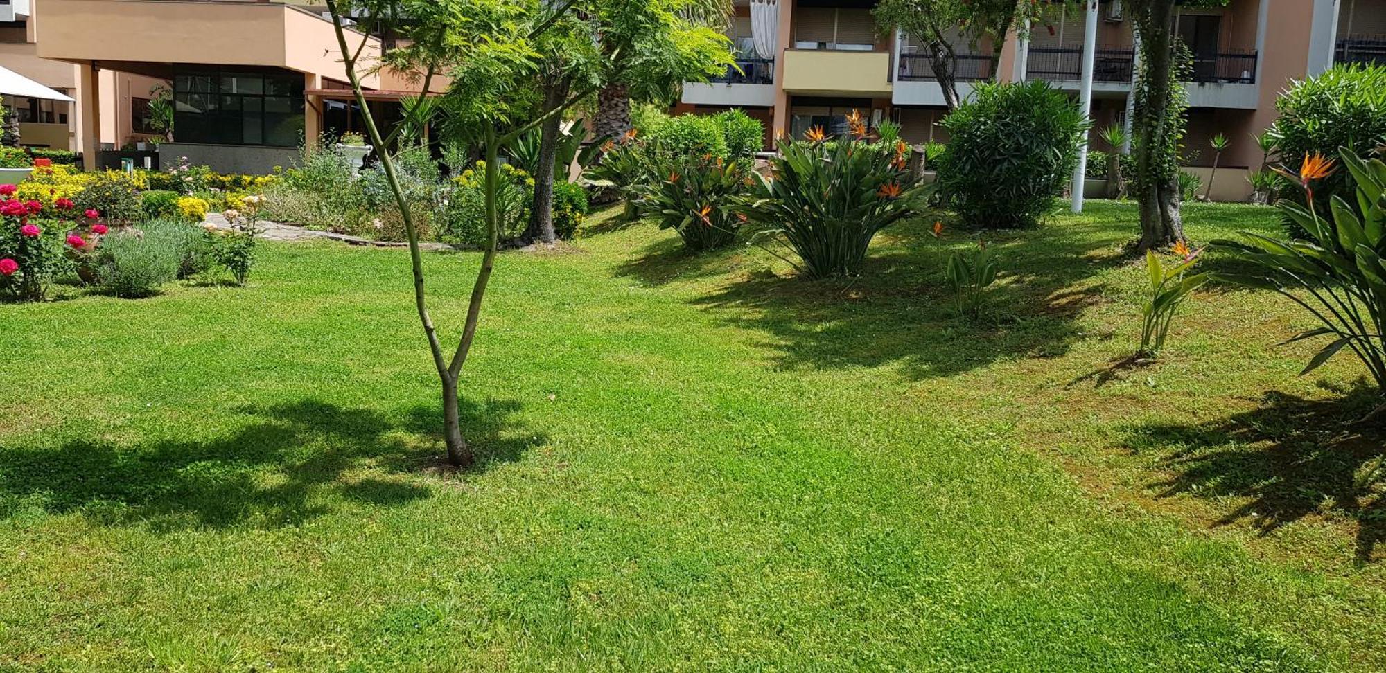 Green Oasis Рим Экстерьер фото